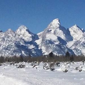 Meet your Posher, Lynne